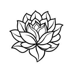 lotus flower isolated on white background