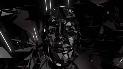 Segmental face - Powered by Adobe