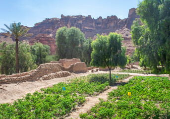 View of Oasis Heritage Trail in Saudi Arabia AlUla with trees and rock mountains around on a sunny day. © MJ