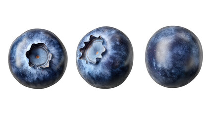  Fresh Blueberry Isolated on Transparent Background