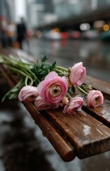Obraz premium Pink ranunculus flowers resting on wet wooden bench