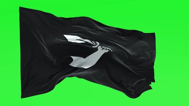 Pirate Flag Skull Single Cutlass with Sword Hand Waving Green Screen Chroma Key Loop