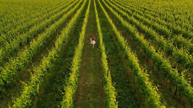 Cinematic 4K slow-motion drone shot of a happy young brunette woman in a flowing short white dress running and laughing between vineyard rows in Valpolicella, Italy, at golden sunset
