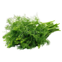  Fresh Dill Herb Pile on Transparent Background