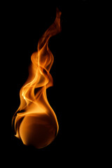 Vibrant Flame Dancing in Darkness with Elegant Flowing Curves