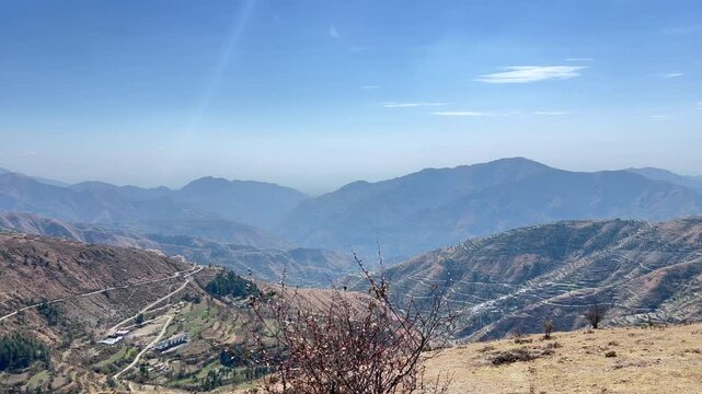 Deodar Footage and Forest Life, Exploring Jungles, Trees, Timber Craft, Carpenters, and the Vital Role of Green Gold in Our Ecosystem in Jammu and Kashmir