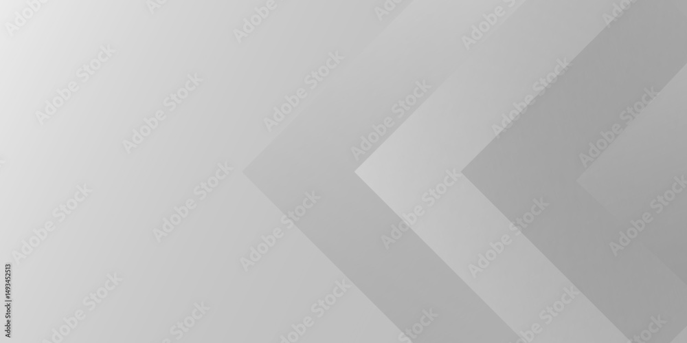 Wall mural white and gray line geometric concept technology modern futuristic subtle abstract background. grey 