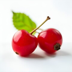 cherries on a white background
