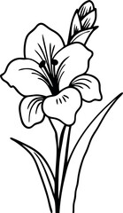Blooming Gladiolus Outline for Coloring
