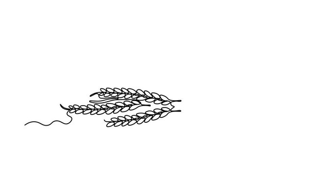 Abstract Ears of wheat and loaf of bread, Self drawing animation one continuous line draw, logo