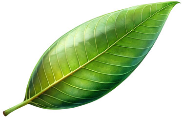 Fototapeta premium green mango leaf generative ai
