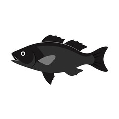 Stylized monochrome fish illustration on a solid black background