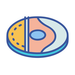 Flat illustration of coconut with a cutaway view isolated