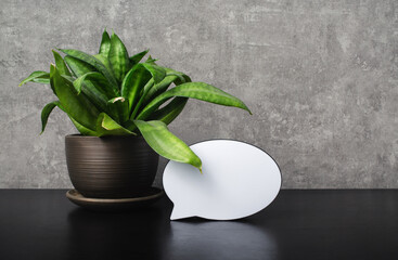 Potted plant and blank speech bubble object. Copy space for text.