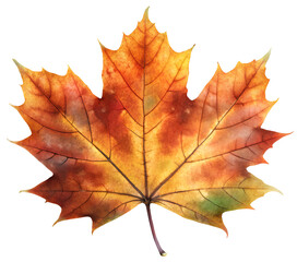Obraz premium autumn maple leaf generative ai