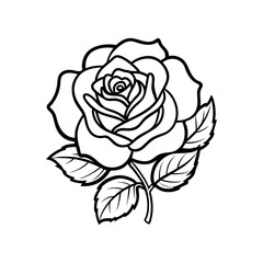 china rose line art vector silhouette