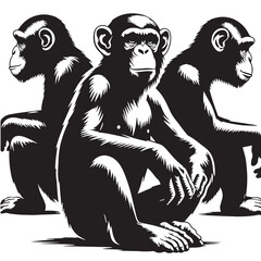 Black Color Chimpanzee Silhouette Vector Illustration, Solid White Background. minimal vector design