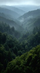 Fototapeta premium Misty mountain landscape serene hills and atmospheric haze