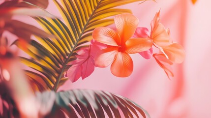Pink and orange tropical flowers and leaves for beauty summer spa exotic or botanical visuals concept
