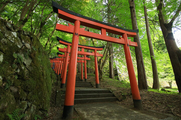 兵庫県勝岡市　有子山稲荷神社への道