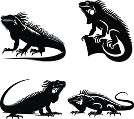 Iguana Silhouette Vector | Tropical Lizard Illustration | Black and White Iguana Art | Reptile Clipart