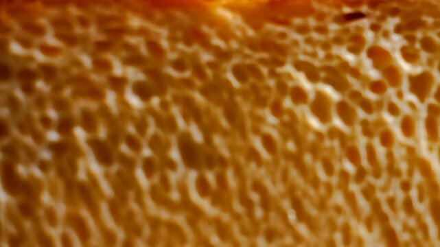 Close-up of an airy bread texture, showcasing its golden crust and intricate cell structure under warm light in a bakery setting.