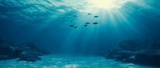 Obraz premium Sunlight Through Ocean Water