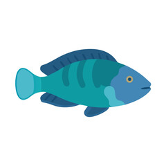 Blue fish flat illustration against black background