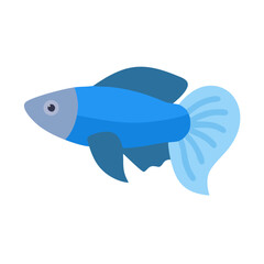 Flat design illustration of a blue Siamese fighting fish