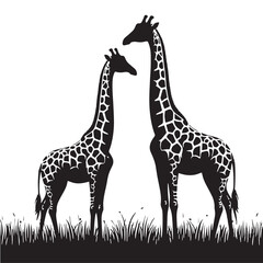 Obraz premium Black Color Giraffe Silhouette Vector Illustration, Solid White Background. minimal vector design