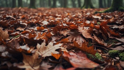 Dead leaves photography perfect for textures and backgrounds