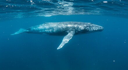 Obraz premium Majestic Brown Pelican Perched on Wooden Railing, Ocean Waves in Background