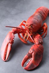 Delicious boiled lobster on grey table, closeup