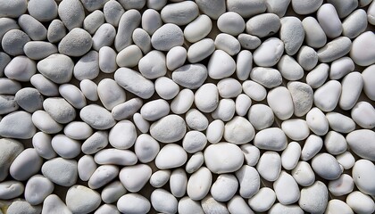 seamless texture of white pebbles covering a surface creating a natural and textured background