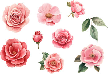 seamless pattern with roses