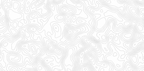 Abstract minimal The patter discovery vector topo map creative discovery White wave grid stripe line map topography. vector geographic contour mounted map background.	
