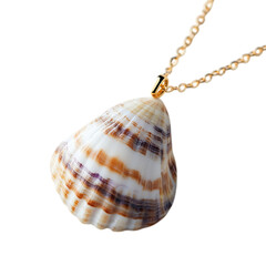Trendy Minimalist Shell Necklace with One Organically Shaped Shell Isolated on Transparent Background