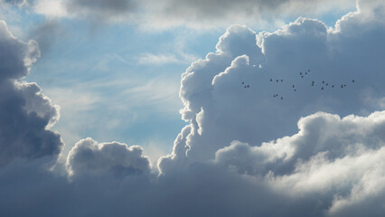Bright Blue Fluffy Clouds with Birds Flying, Braga, Portugal.