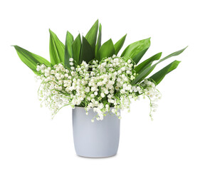 Bouquet of beautiful lily of the valley flowers isolated on white