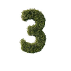 Flower number three on a transparent background. 3D rendering.