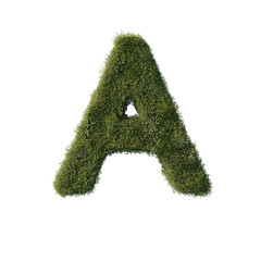 Floral Letter A on a transparent background. 3D render.	
