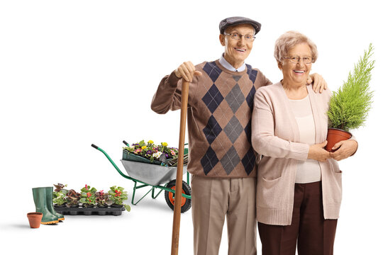 Senior couple gardners with a plant and a shovel