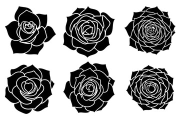 set of rose silhouette vector on tranparent background