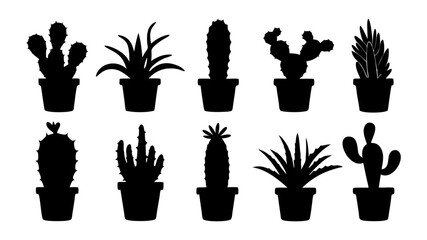 Cactus in pots silhouette