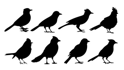 set of blue jay birds silhouette vector on tranparent background