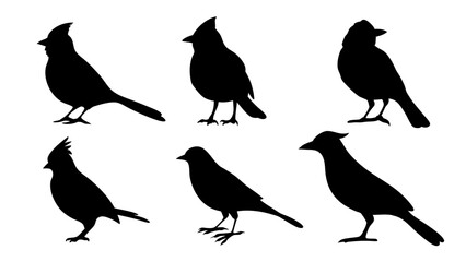 set of blue jay birds silhouette vector on tranparent background