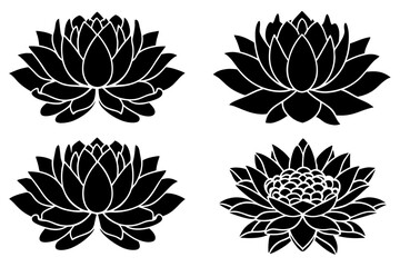 set of lotus flowes silhouette vector on tranparent background
