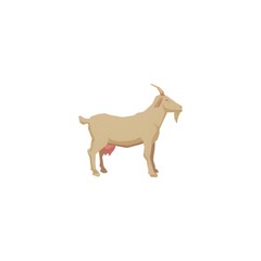 goat on white background