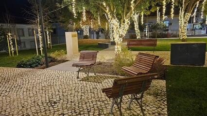 Wooden Benches and Bust Monument in Christmas-Lit Park – Tranquil Night Scene