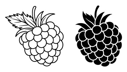 Black and white raspberry vector illustration